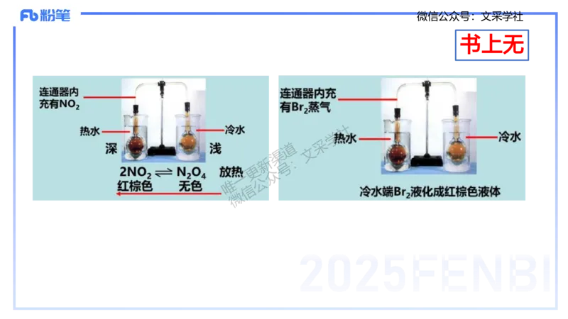 理论精讲09-元素化合物5-岳筱涵_4-教培资料-26年最新资料-同步更新_初中高中教资_03科三专项（进去保存报考的学科即可）_01科目三FB网课、三色速记手册、知识点导图等推荐