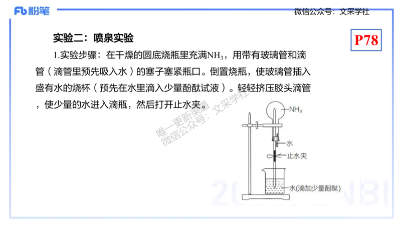 理论精讲09-元素化合物5-岳筱涵_4-教培资料-26年最新资料-同步更新_初中高中教资_03科三专项（进去保存报考的学科即可）_01科目三FB网课、三色速记手册、知识点导图等推荐