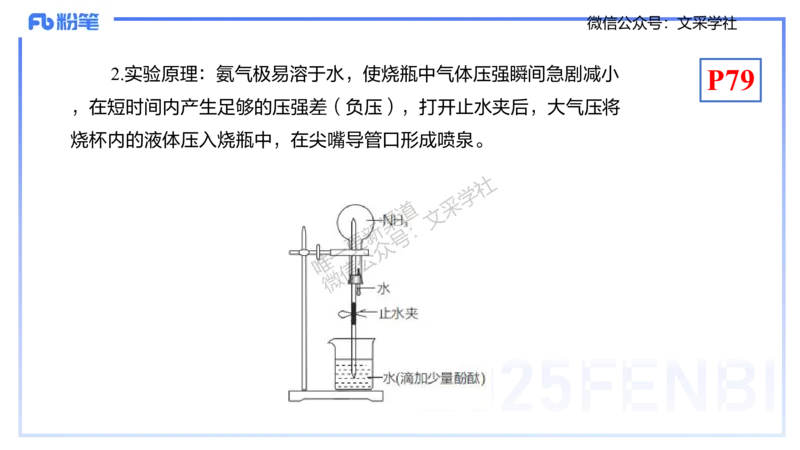 理论精讲09-元素化合物5-岳筱涵_4-教培资料-26年最新资料-同步更新_初中高中教资_03科三专项（进去保存报考的学科即可）_01科目三FB网课、三色速记手册、知识点导图等推荐