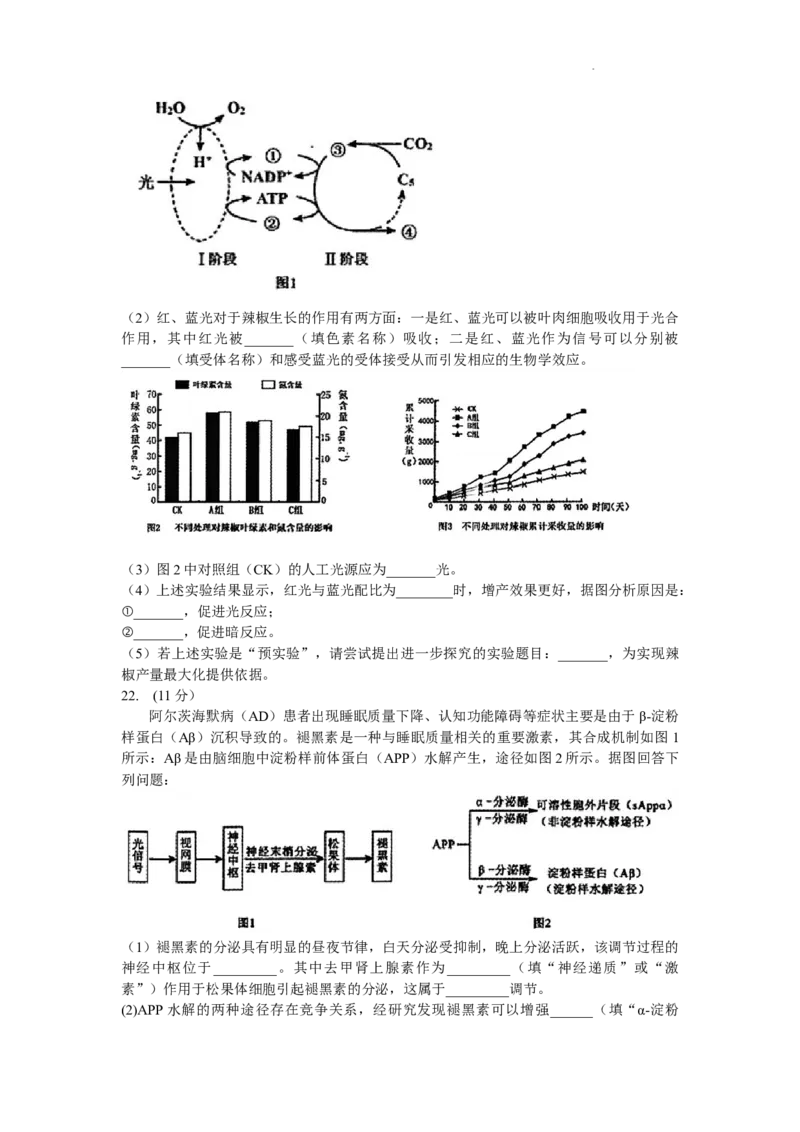 2024届辽宁省沈阳市高中三年级教学质量监测（一）生物(1)_2024年1月_021月合集_2024届辽宁省沈阳市高中三年级教学质量监测（一）