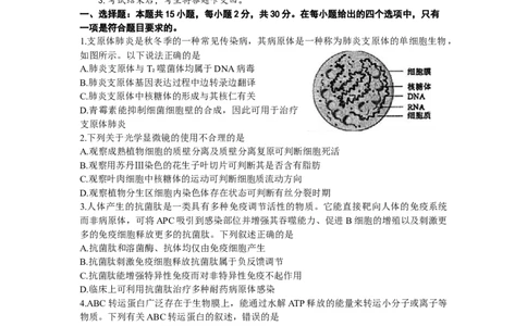 2024届辽宁省沈阳市高中三年级教学质量监测（一）生物(1)_2024年1月_021月合集_2024届辽宁省沈阳市高中三年级教学质量监测（一）