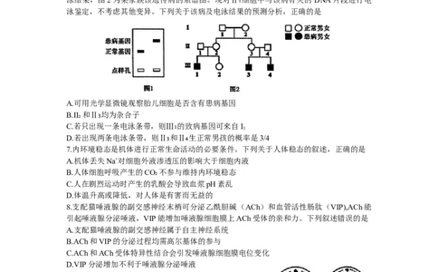 2024届辽宁省沈阳市高中三年级教学质量监测（一）生物(1)_2024年1月_021月合集_2024届辽宁省沈阳市高中三年级教学质量监测（一）