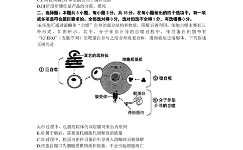 2024届辽宁省沈阳市高中三年级教学质量监测（一）生物(1)_2024年1月_021月合集_2024届辽宁省沈阳市高中三年级教学质量监测（一）