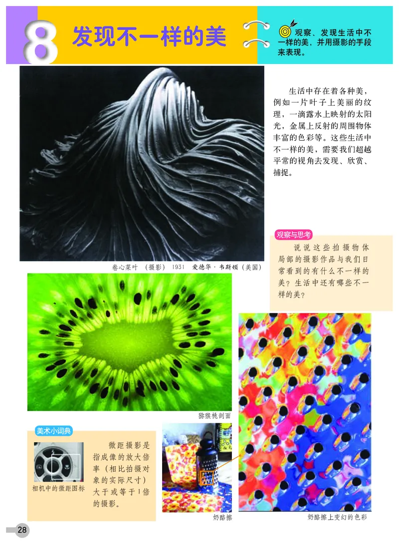 浙教版9年级美术下册高清教材_4-教培资料-26年最新资料-同步更新_初中高中教资_03科三专项（进去保存报考的学科即可）_02科三专项（笔记真题思维导图教学设计版本二）