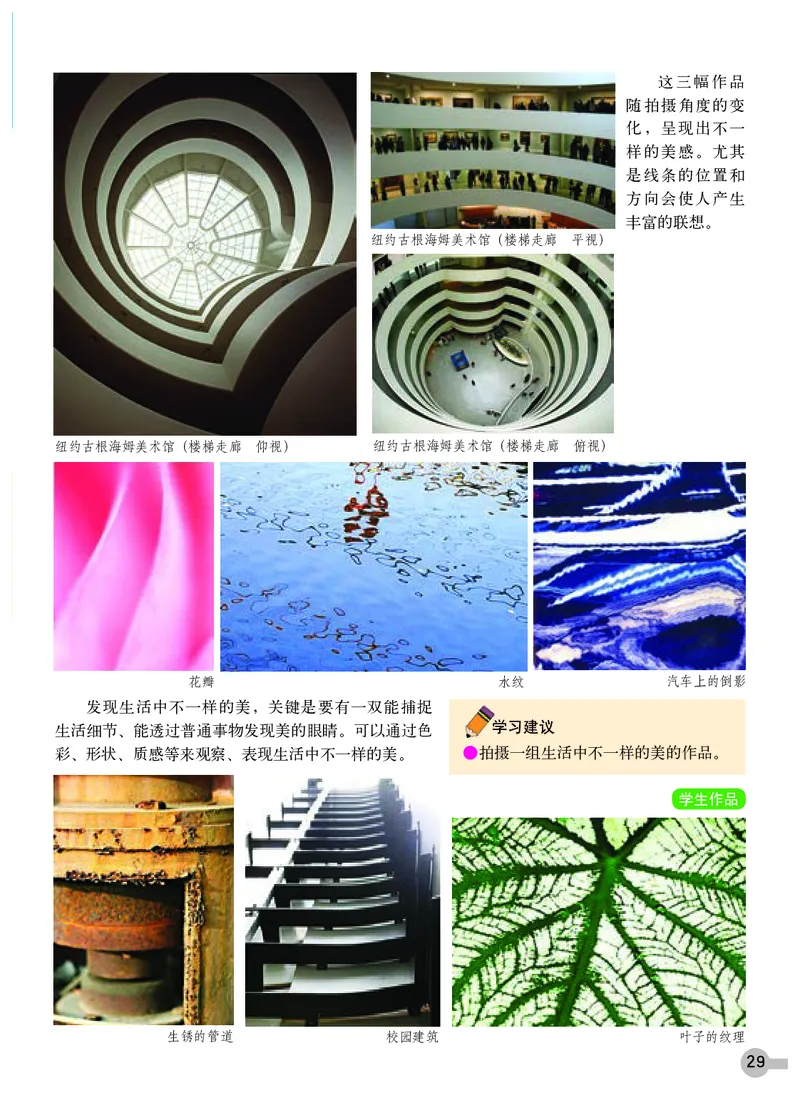 浙教版9年级美术下册高清教材_4-教培资料-26年最新资料-同步更新_初中高中教资_03科三专项（进去保存报考的学科即可）_02科三专项（笔记真题思维导图教学设计版本二）