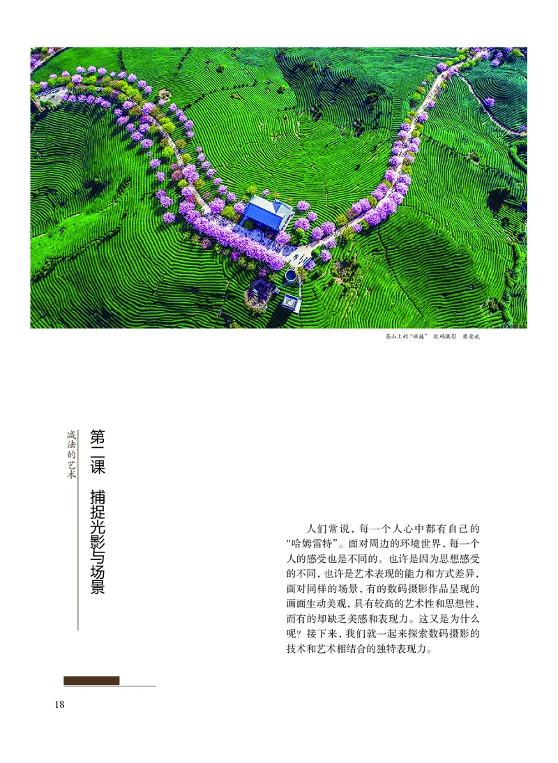 沪教版艺术选修5高清教材_4-教培资料-26年最新资料-同步更新_初中高中教资_03科三专项（进去保存报考的学科即可）_02科三专项（笔记真题思维导图教学设计版本二）