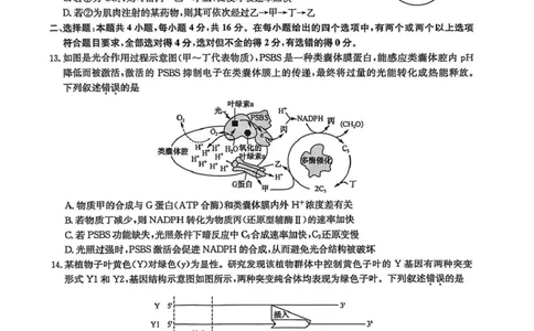 宜春市十校协作体2025~2026学年高三(上)第一次联考生物_2025年12月_251201江西省宜春市十校协作体2025-2026学年高三上学期第一次联考（全科）