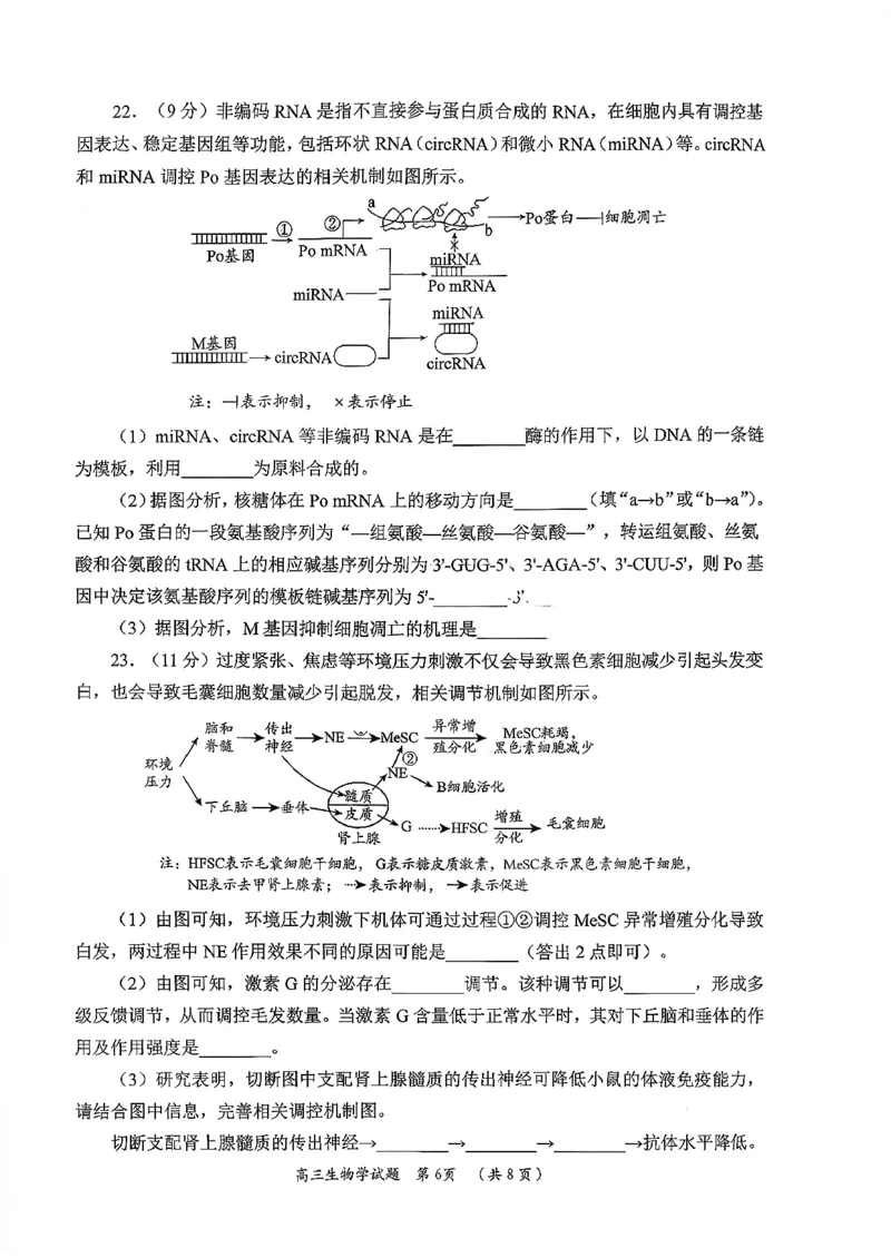 日照生物试题_2025年12月_251202山东省日照市2026届校际联考高三上学期期中考试（全科）_试卷