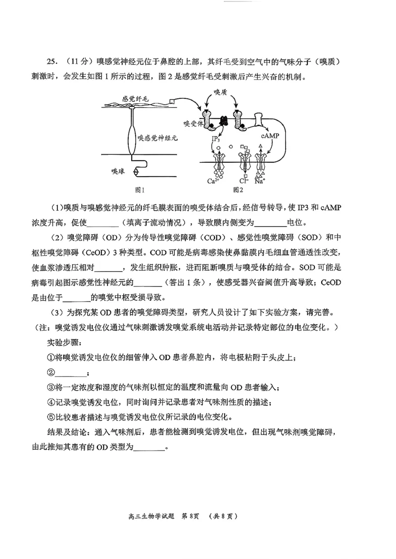 日照生物试题_2025年12月_251202山东省日照市2026届校际联考高三上学期期中考试（全科）_试卷