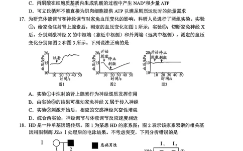 日照生物试题_2025年12月_251202山东省日照市2026届校际联考高三上学期期中考试（全科）_试卷