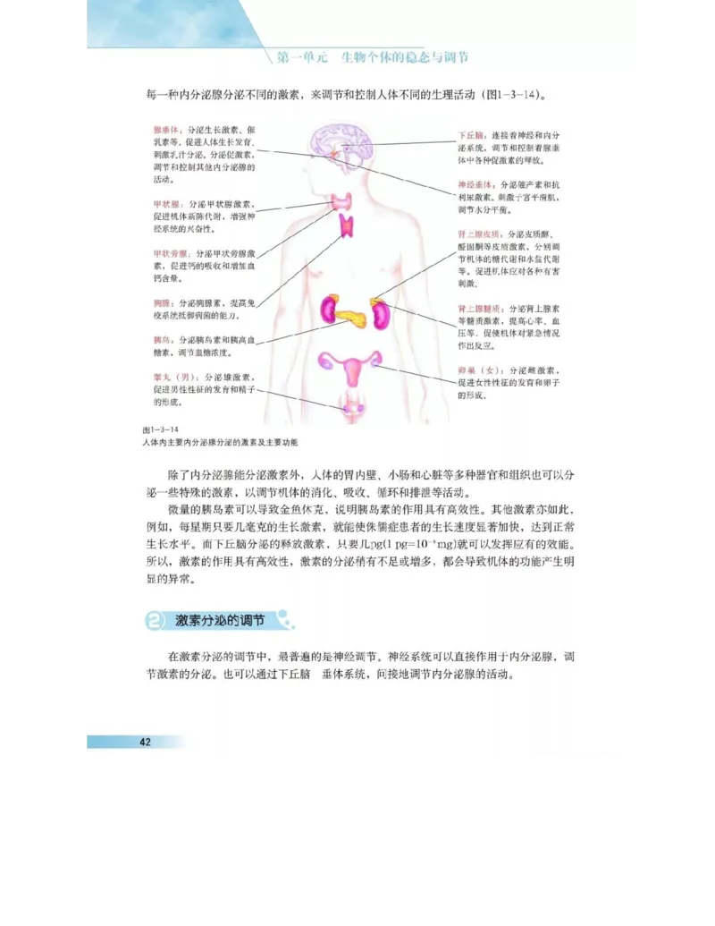 沪科版高中生物必修3《稳态与环境》电子课本_4-教培资料-26年最新资料-同步更新_初中高中教资_03科三专项（进去保存报考的学科即可）_112025高中科目（全）电子教材