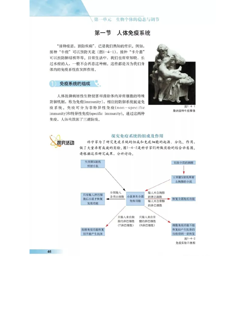 沪科版高中生物必修3《稳态与环境》电子课本_4-教培资料-26年最新资料-同步更新_初中高中教资_03科三专项（进去保存报考的学科即可）_112025高中科目（全）电子教材