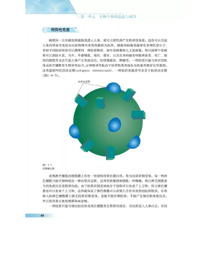 沪科版高中生物必修3《稳态与环境》电子课本_4-教培资料-26年最新资料-同步更新_初中高中教资_03科三专项（进去保存报考的学科即可）_112025高中科目（全）电子教材