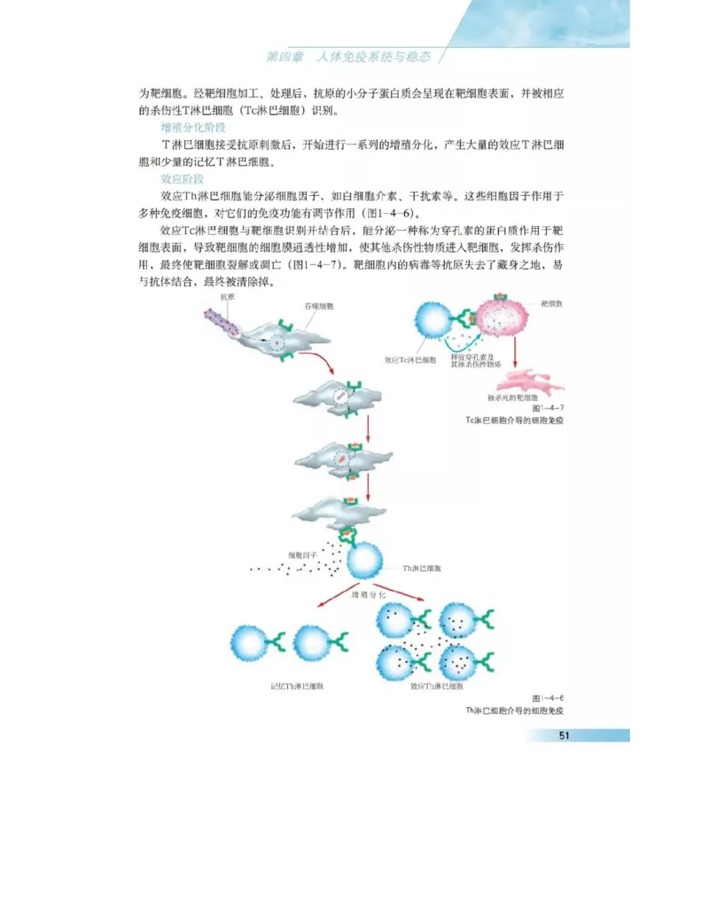 沪科版高中生物必修3《稳态与环境》电子课本_4-教培资料-26年最新资料-同步更新_初中高中教资_03科三专项（进去保存报考的学科即可）_112025高中科目（全）电子教材