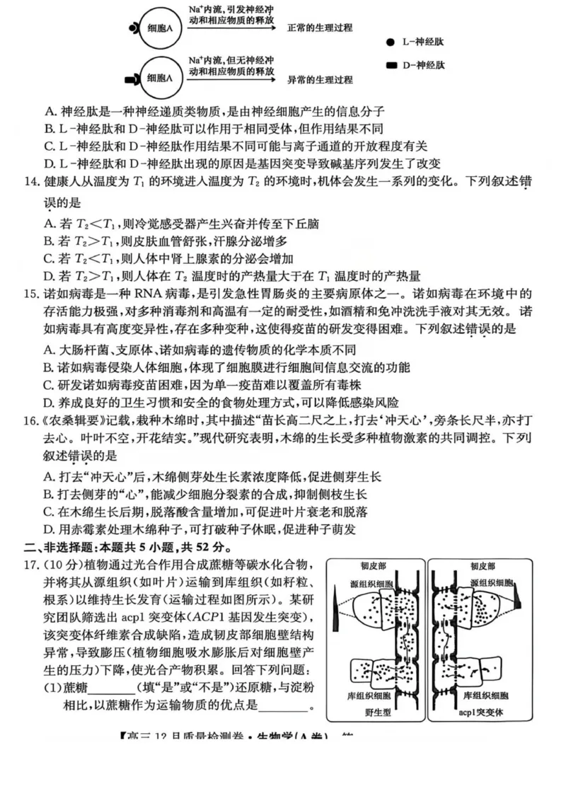 山西省部分学校2025-2026学年高三上学期12月月考生物试题_2025年12月_251212山西卓越联盟2026届高三12月质量检测卷（26-X-205C）12.9-10（全科）