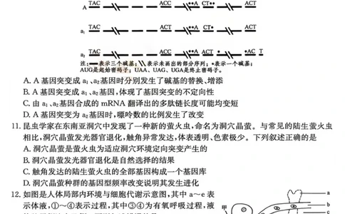 山西省部分学校2025-2026学年高三上学期12月月考生物试题_2025年12月_251212山西卓越联盟2026届高三12月质量检测卷（26-X-205C）12.9-10（全科）