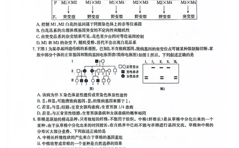 九师生物2025-12-1714.05_2025年12月_251218河南九师联盟2026届高三上学期12月联考（全科）_河南九师联盟2026届高三上学期12月联考生物