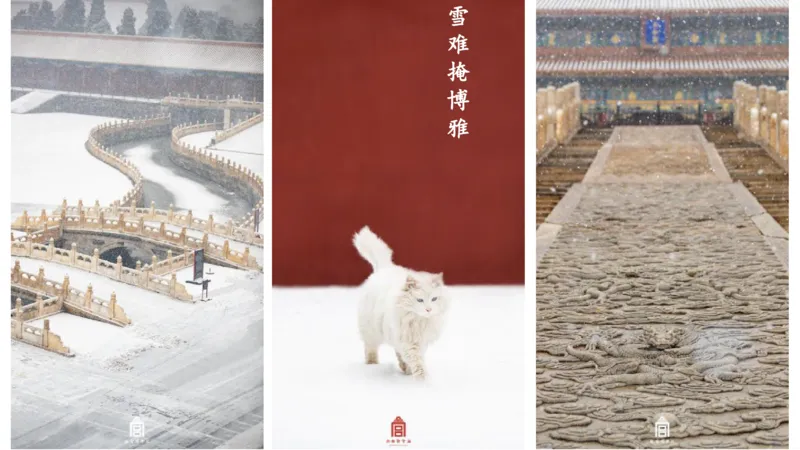 理论精讲-中国美术史6-程雅茹_4-教培资料-26年最新资料-同步更新_初中高中教资_03科三专项（进去保存报考的学科即可）_01科目三FB网课、三色速记手册、知识点导图等推荐