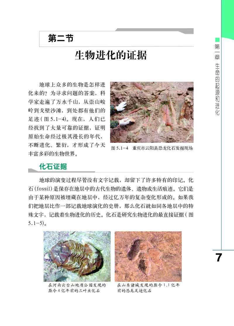 济南版8年级生物下册高清教材_4-教培资料-26年最新资料-同步更新_初中高中教资_03科三专项（进去保存报考的学科即可）_02科三专项（笔记真题思维导图教学设计版本二）