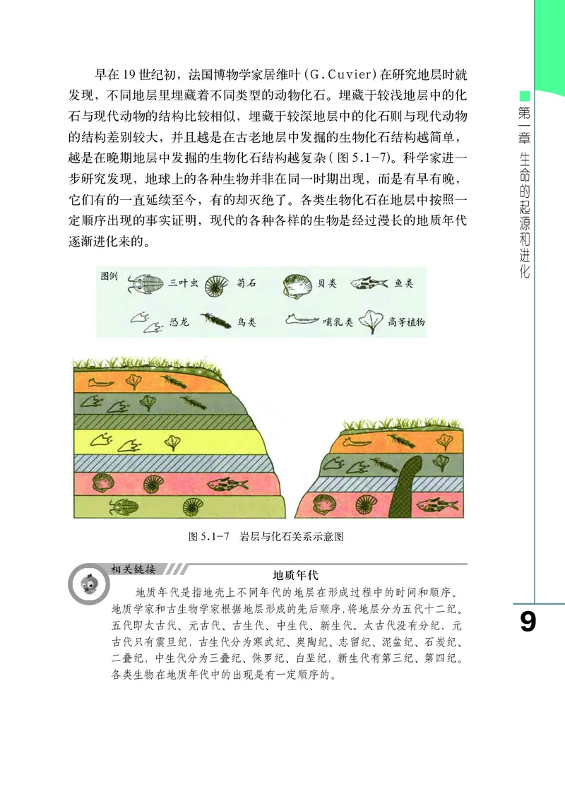 济南版8年级生物下册高清教材_4-教培资料-26年最新资料-同步更新_初中高中教资_03科三专项（进去保存报考的学科即可）_02科三专项（笔记真题思维导图教学设计版本二）