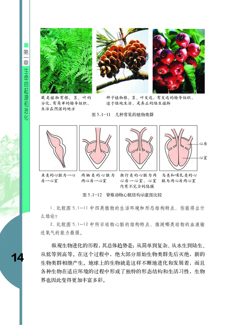 济南版8年级生物下册高清教材_4-教培资料-26年最新资料-同步更新_初中高中教资_03科三专项（进去保存报考的学科即可）_02科三专项（笔记真题思维导图教学设计版本二）