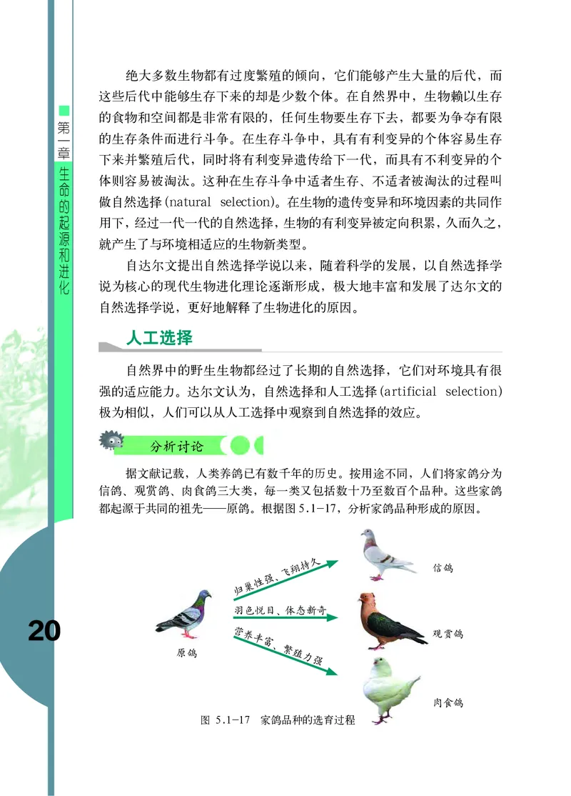 济南版8年级生物下册高清教材_4-教培资料-26年最新资料-同步更新_初中高中教资_03科三专项（进去保存报考的学科即可）_02科三专项（笔记真题思维导图教学设计版本二）