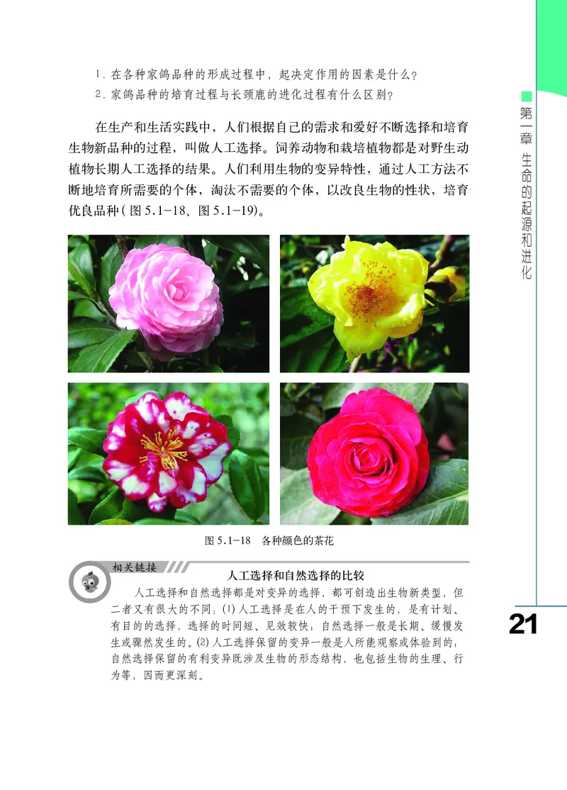 济南版8年级生物下册高清教材_4-教培资料-26年最新资料-同步更新_初中高中教资_03科三专项（进去保存报考的学科即可）_02科三专项（笔记真题思维导图教学设计版本二）