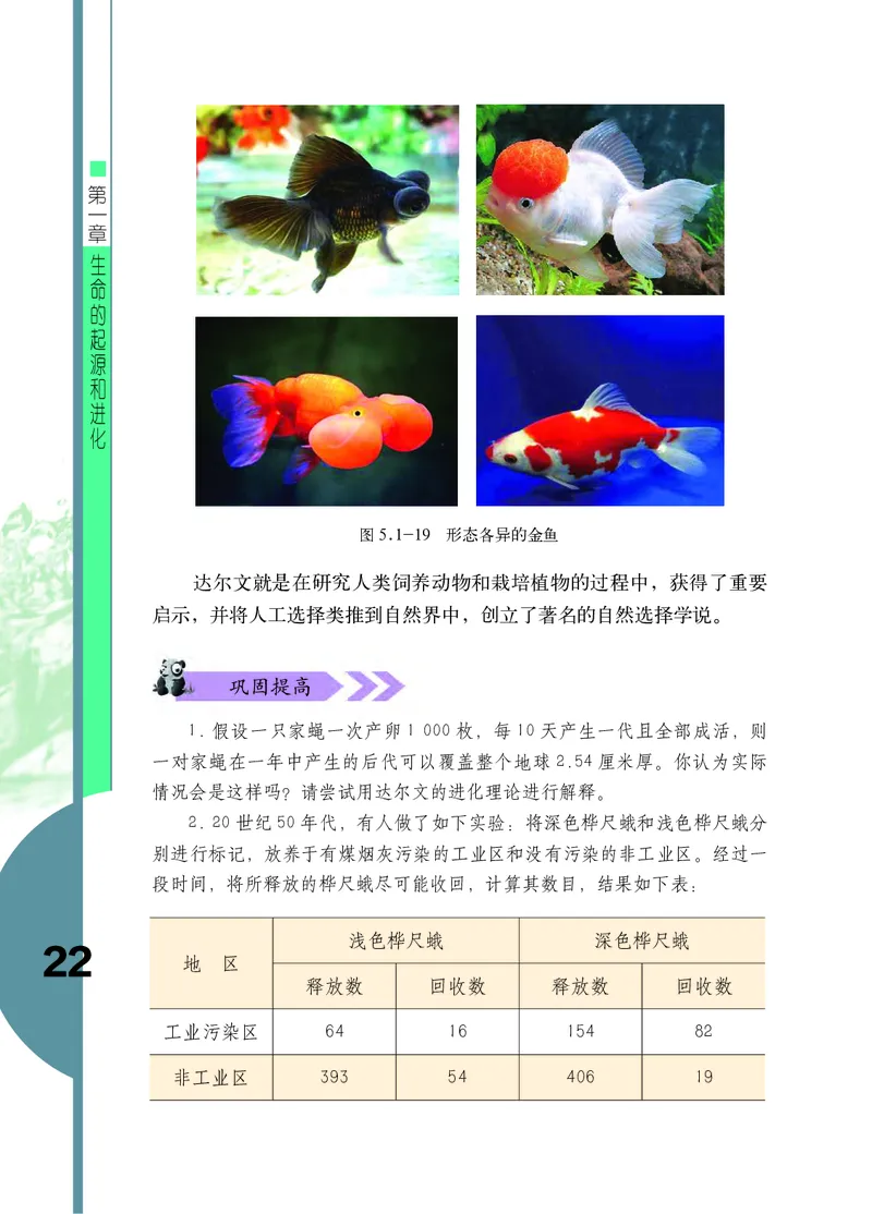济南版8年级生物下册高清教材_4-教培资料-26年最新资料-同步更新_初中高中教资_03科三专项（进去保存报考的学科即可）_02科三专项（笔记真题思维导图教学设计版本二）