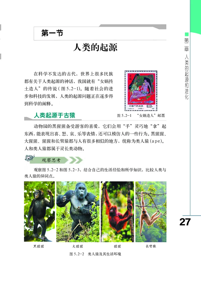 济南版8年级生物下册高清教材_4-教培资料-26年最新资料-同步更新_初中高中教资_03科三专项（进去保存报考的学科即可）_02科三专项（笔记真题思维导图教学设计版本二）