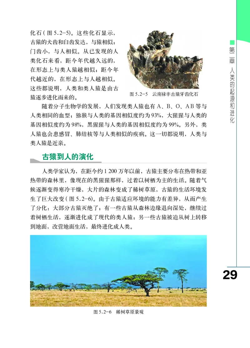 济南版8年级生物下册高清教材_4-教培资料-26年最新资料-同步更新_初中高中教资_03科三专项（进去保存报考的学科即可）_02科三专项（笔记真题思维导图教学设计版本二）