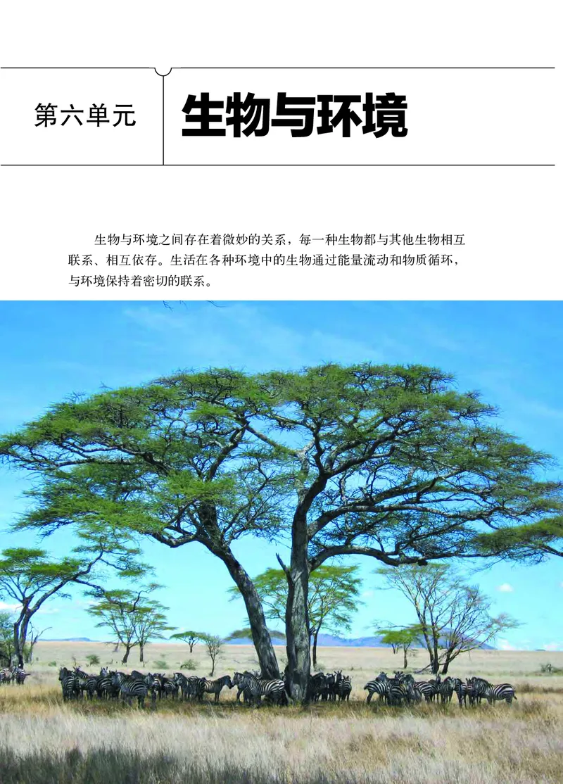 济南版8年级生物下册高清教材_4-教培资料-26年最新资料-同步更新_初中高中教资_03科三专项（进去保存报考的学科即可）_02科三专项（笔记真题思维导图教学设计版本二）