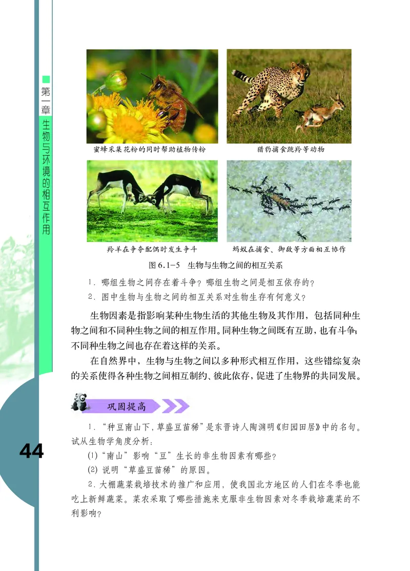 济南版8年级生物下册高清教材_4-教培资料-26年最新资料-同步更新_初中高中教资_03科三专项（进去保存报考的学科即可）_02科三专项（笔记真题思维导图教学设计版本二）