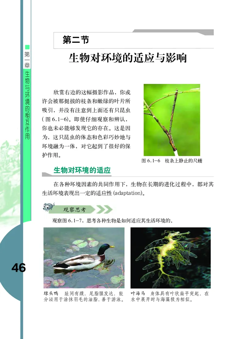 济南版8年级生物下册高清教材_4-教培资料-26年最新资料-同步更新_初中高中教资_03科三专项（进去保存报考的学科即可）_02科三专项（笔记真题思维导图教学设计版本二）