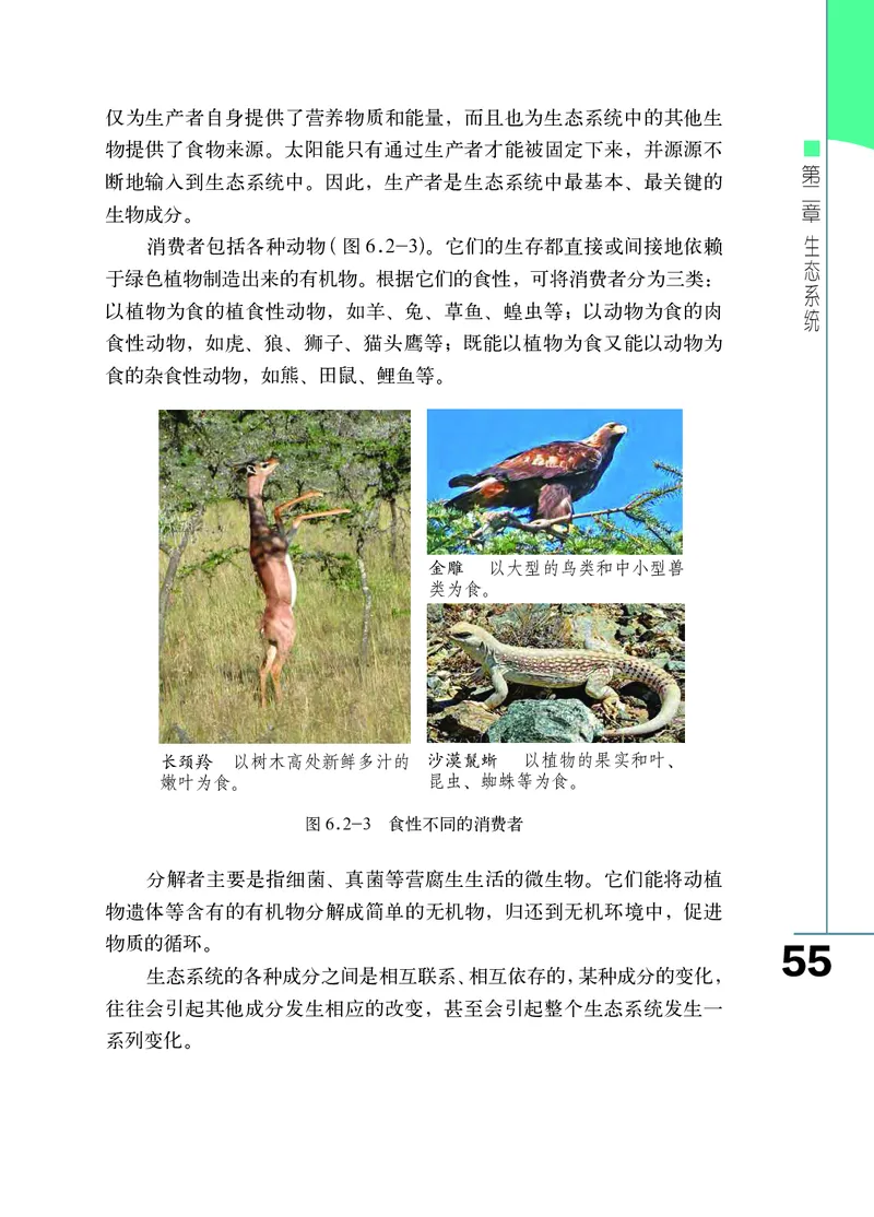 济南版8年级生物下册高清教材_4-教培资料-26年最新资料-同步更新_初中高中教资_03科三专项（进去保存报考的学科即可）_02科三专项（笔记真题思维导图教学设计版本二）