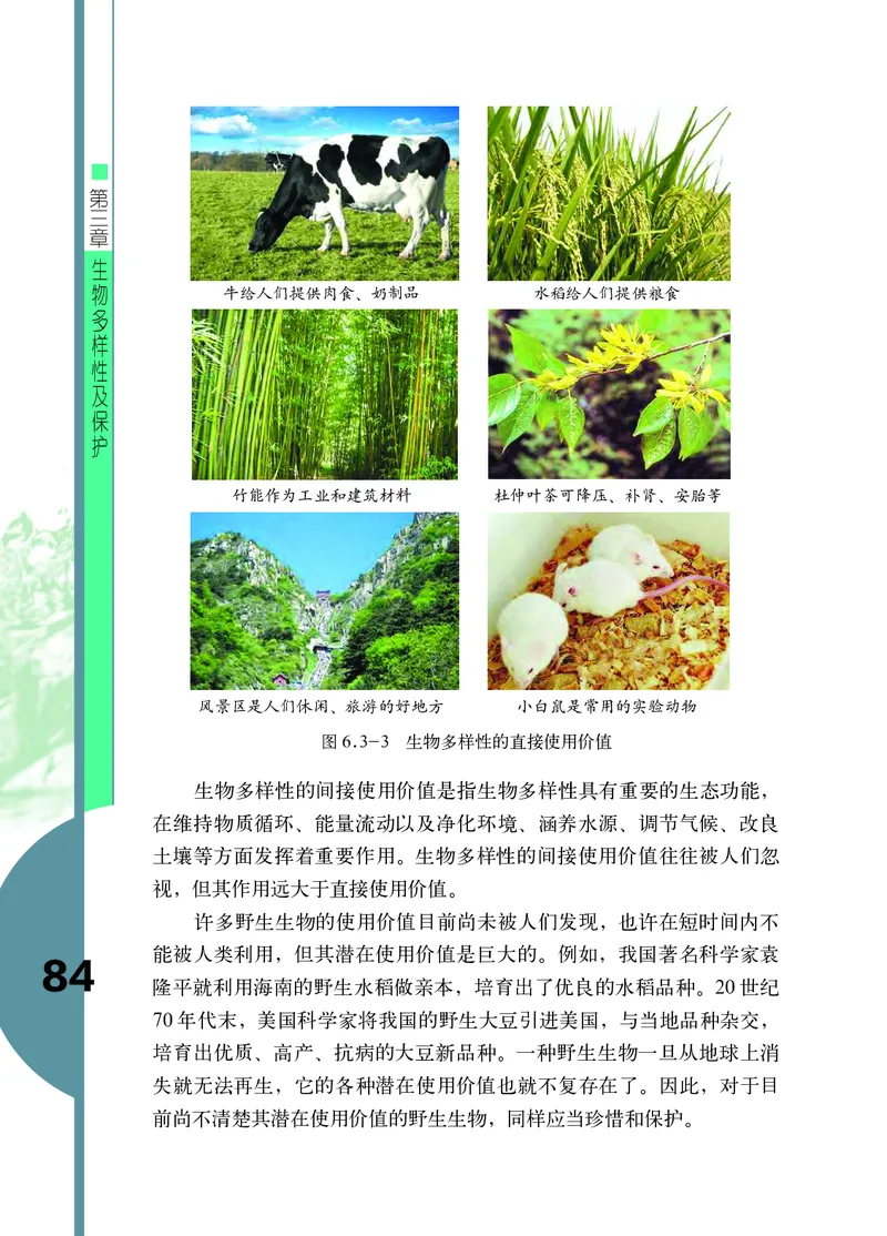 济南版8年级生物下册高清教材_4-教培资料-26年最新资料-同步更新_初中高中教资_03科三专项（进去保存报考的学科即可）_02科三专项（笔记真题思维导图教学设计版本二）