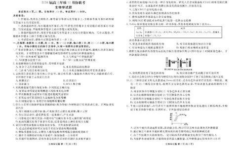 2026届广东衡水金卷高三上学期10月联考生物试题+答案_2511022026届广东衡水金卷高三上学期10月联考（全科）