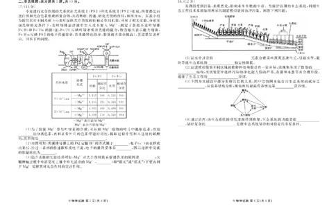 2026届广东衡水金卷高三上学期10月联考生物试题+答案_2511022026届广东衡水金卷高三上学期10月联考（全科）