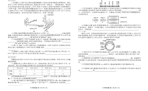 2026届广东衡水金卷高三上学期10月联考生物试题+答案_2511022026届广东衡水金卷高三上学期10月联考（全科）