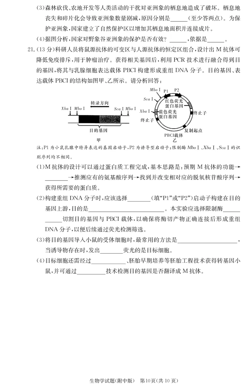 湖南师大附中2026届高三月考试卷（四）生物_2025年12月_251202湖南师范大学附属中学2026届高三上学期月考（四）_湖南师范大学附属中学2026届高三上学期月考（四）生物
