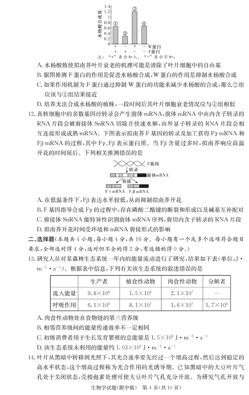 湖南师大附中2026届高三月考试卷（四）生物_2025年12月_251202湖南师范大学附属中学2026届高三上学期月考（四）_湖南师范大学附属中学2026届高三上学期月考（四）生物