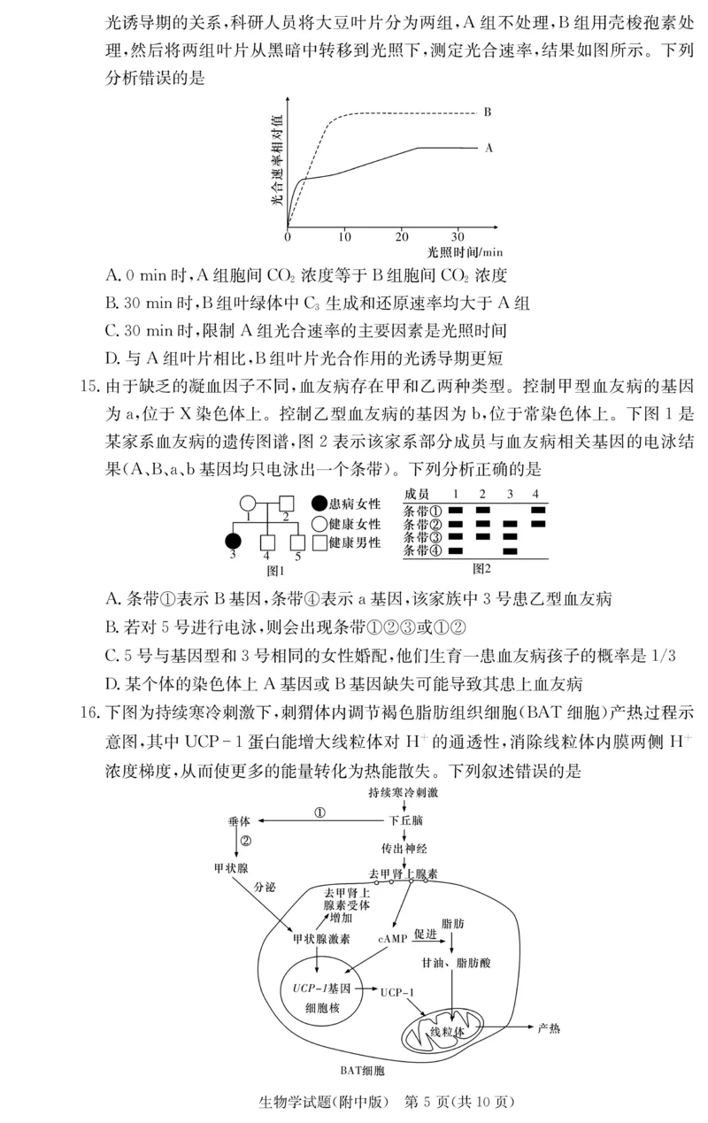 湖南师大附中2026届高三月考试卷（四）生物_2025年12月_251202湖南师范大学附属中学2026届高三上学期月考（四）_湖南师范大学附属中学2026届高三上学期月考（四）生物