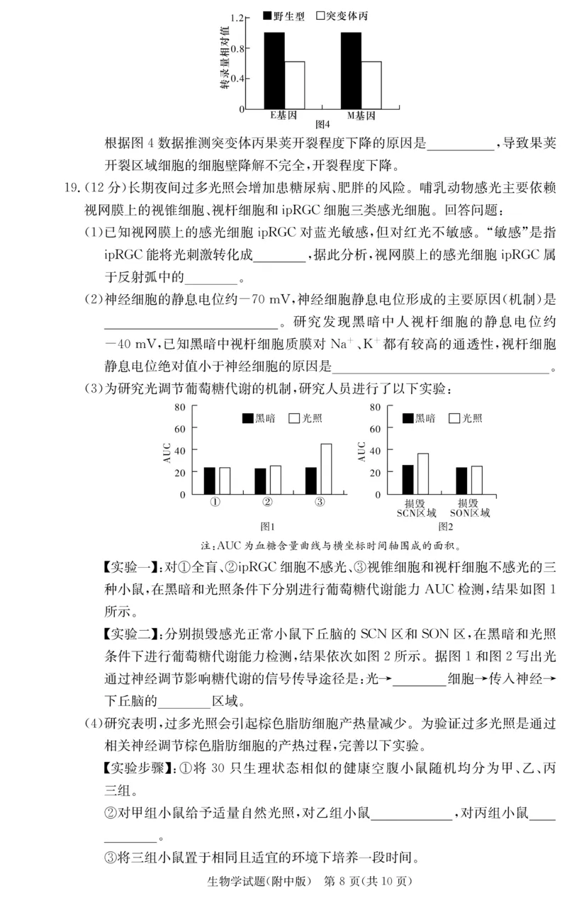 湖南师大附中2026届高三月考试卷（四）生物_2025年12月_251202湖南师范大学附属中学2026届高三上学期月考（四）_湖南师范大学附属中学2026届高三上学期月考（四）生物
