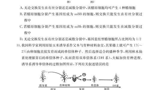 湖南师大附中2026届高三月考试卷（四）生物_2025年12月_251202湖南师范大学附属中学2026届高三上学期月考（四）_湖南师范大学附属中学2026届高三上学期月考（四）生物