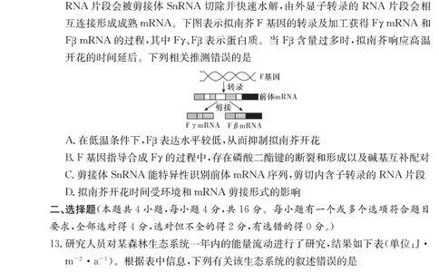 湖南师大附中2026届高三月考试卷（四）生物_2025年12月_251202湖南师范大学附属中学2026届高三上学期月考（四）_湖南师范大学附属中学2026届高三上学期月考（四）生物