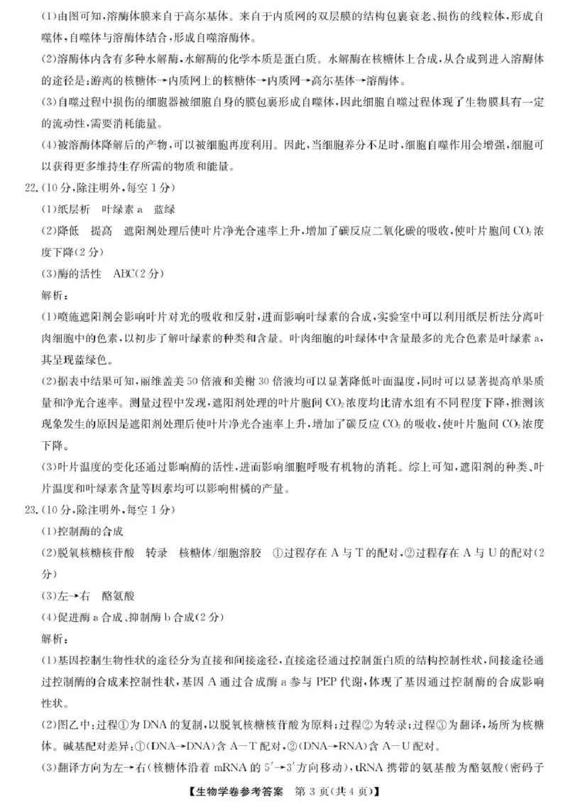 浙江强基6月高一学考--生物DA_2025年6月_250615浙江强基联盟2025年6月学考模拟考试(1)_浙江省强基联盟学考模拟2024-2025学年高一下学期6月学考模拟生物试题