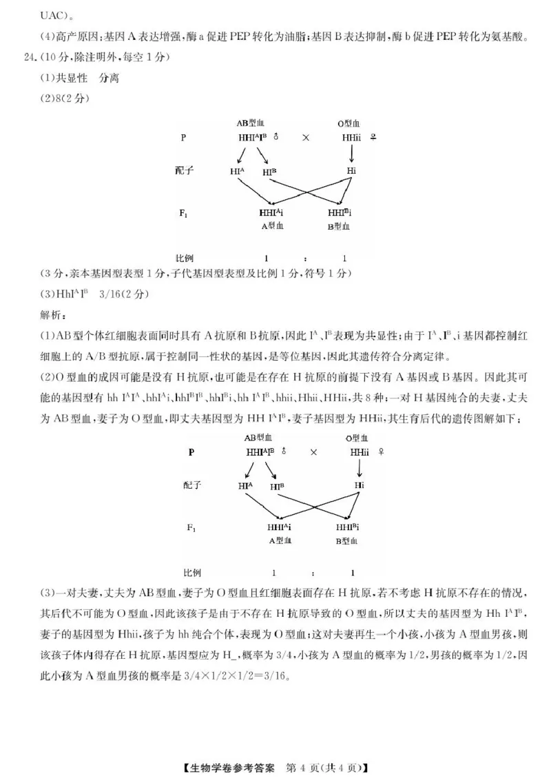 浙江强基6月高一学考--生物DA_2025年6月_250615浙江强基联盟2025年6月学考模拟考试(1)_浙江省强基联盟学考模拟2024-2025学年高一下学期6月学考模拟生物试题