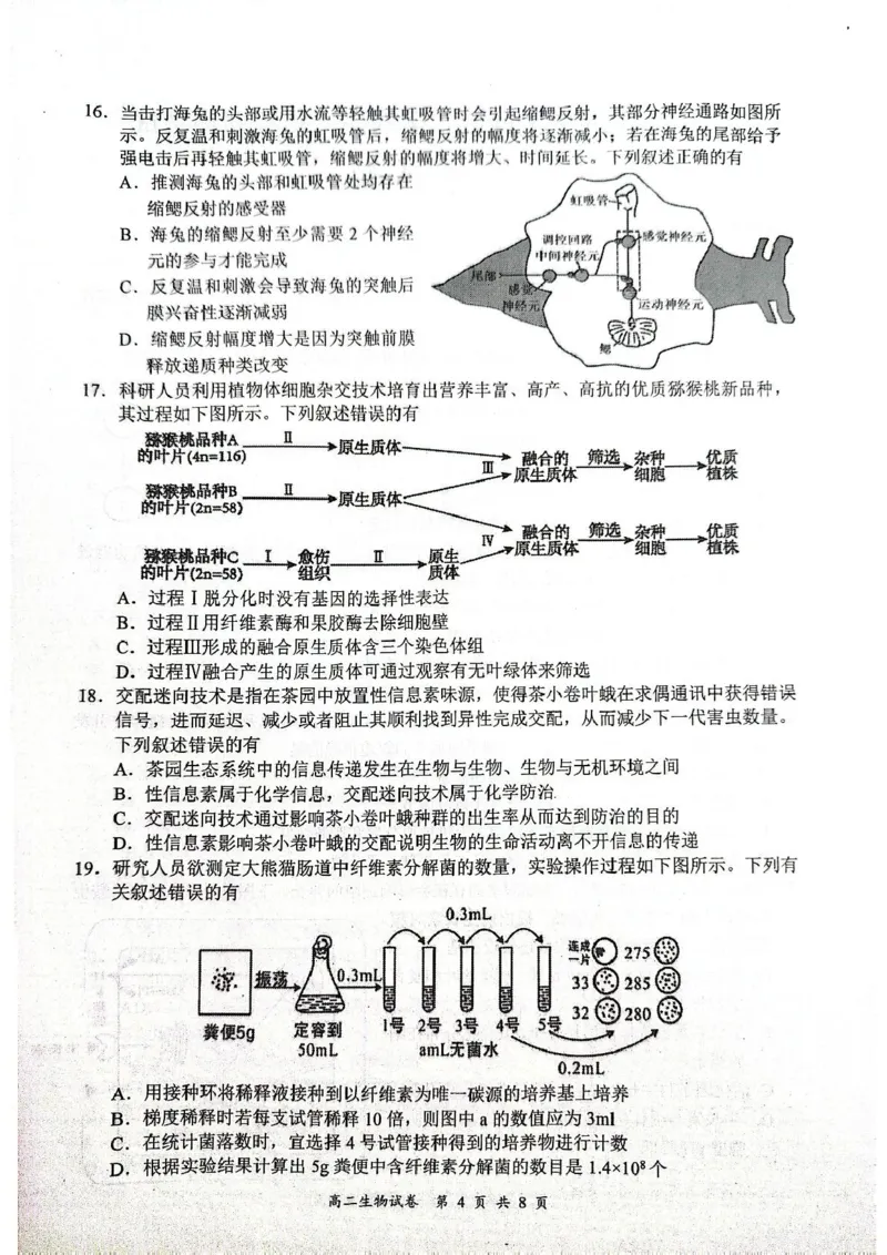 江苏省盐城市东台市2024-2025学年高二下学期期末考试生物试卷_2025年6月_250625江苏盐城市2024-2025学年高二下学期期末考试（全科）