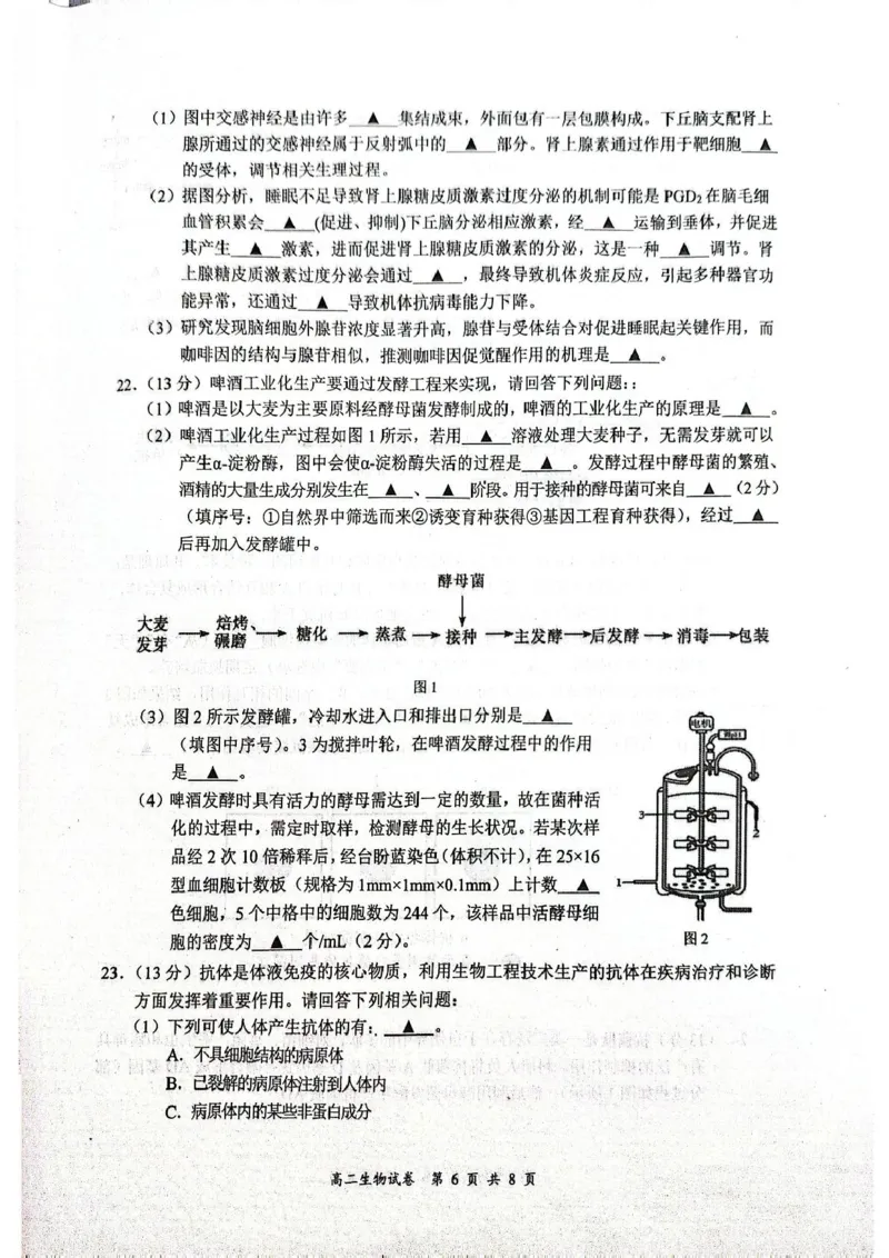 江苏省盐城市东台市2024-2025学年高二下学期期末考试生物试卷_2025年6月_250625江苏盐城市2024-2025学年高二下学期期末考试（全科）