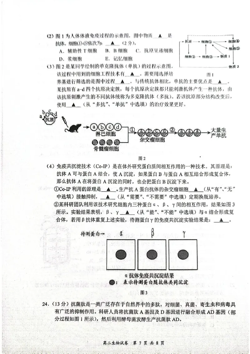 江苏省盐城市东台市2024-2025学年高二下学期期末考试生物试卷_2025年6月_250625江苏盐城市2024-2025学年高二下学期期末考试（全科）
