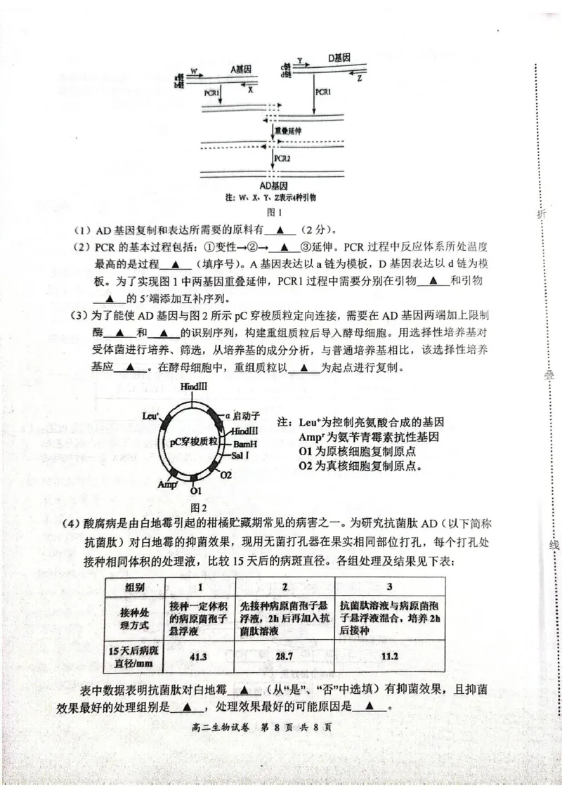 江苏省盐城市东台市2024-2025学年高二下学期期末考试生物试卷_2025年6月_250625江苏盐城市2024-2025学年高二下学期期末考试（全科）